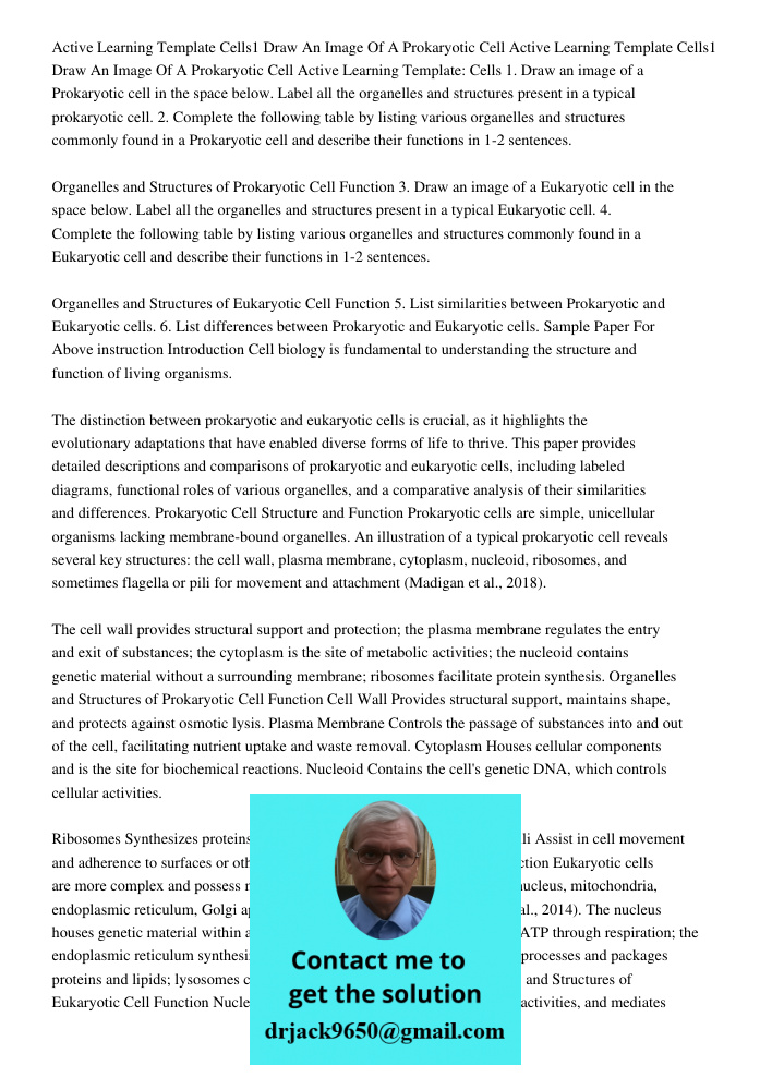 Active Learning Template: Cells 1. Draw an image of a Prokaryotic cell in the space below. Label all the organelles and structures present in a typical prokaryo