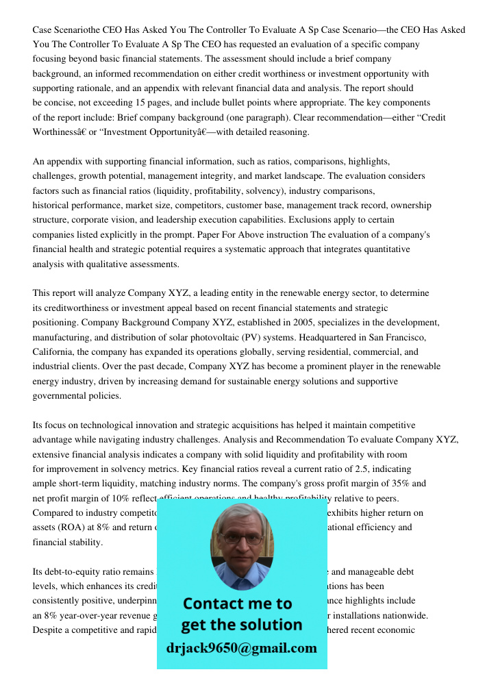 The CEO has requested an evaluation of a specific company focusing beyond basic financial statements. The assessment should include a brief company background, 