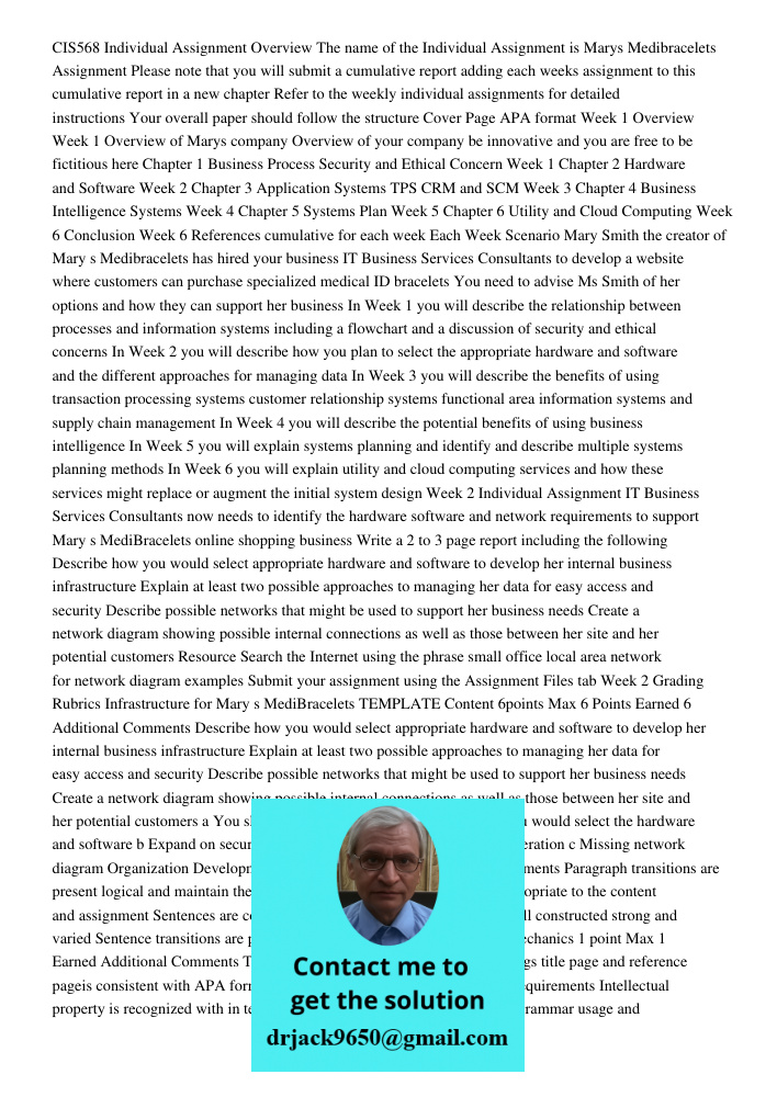 CLEANED = "CIS568 Individual Assignment – Overview The name of the Individual Assignment is Mary’s Medibracelets Assignment Please note that you will submit a c