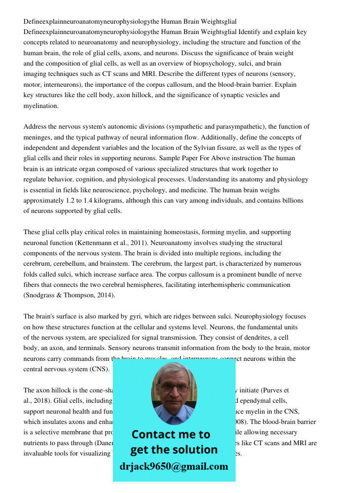 Identify and explain key concepts related to neuroanatomy and neurophysiology, including the structure and function of the human brain, the role of glial cells,