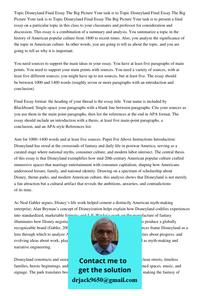 Topic Disneyland Final Essay The Big Picture Your task is to present a final essay on a particular topic in this class to your classmates and professor for cons