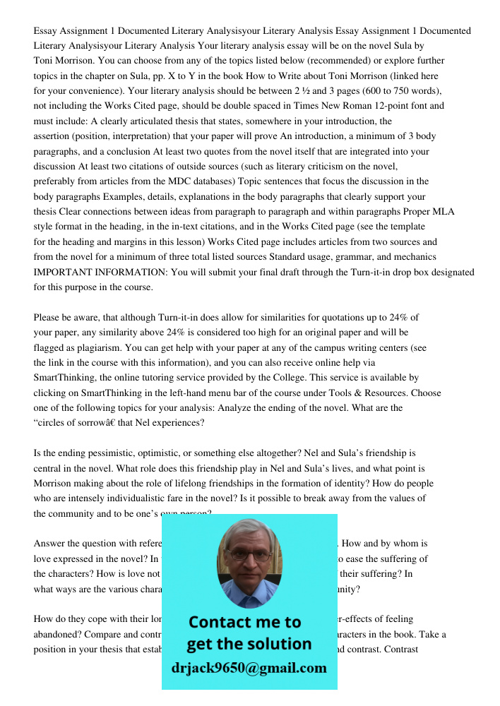 Your literary analysis essay will be on the novel Sula by Toni Morrison. You can choose from any of the topics listed below (recommended) or explore further top