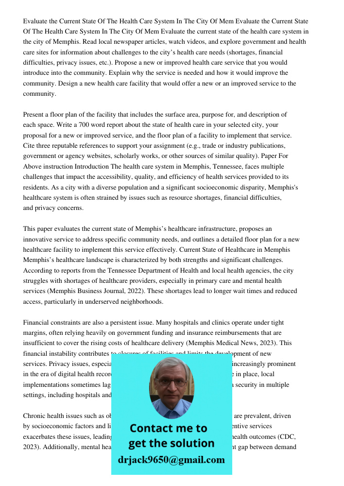 Evaluate the current state of the health care system in the city of Memphis. Read local newspaper articles, watch videos, and explore government and health care