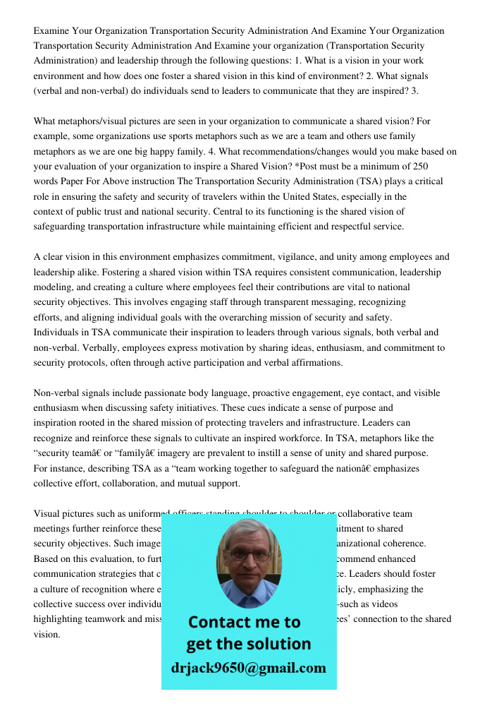 Examine your organization (Transportation Security Administration) and leadership through the following questions: 1. What is a vision in your work environment 