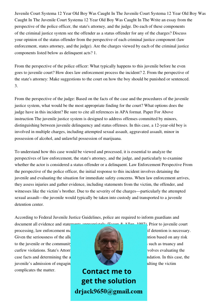 Juvenile Court Systema 12 Year Old Boy Was Caught In The Write an essay from the perspective of the police officer, the state's attorney, and the judge. Do each