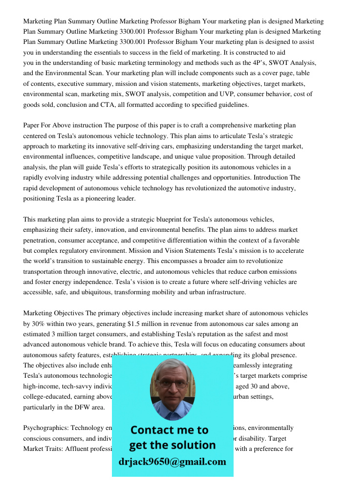 Marketing Plan Summary Outline Marketing 3300.001 Professor Bigham Your marketing plan is designed to assist you in understanding the essentials to success in t