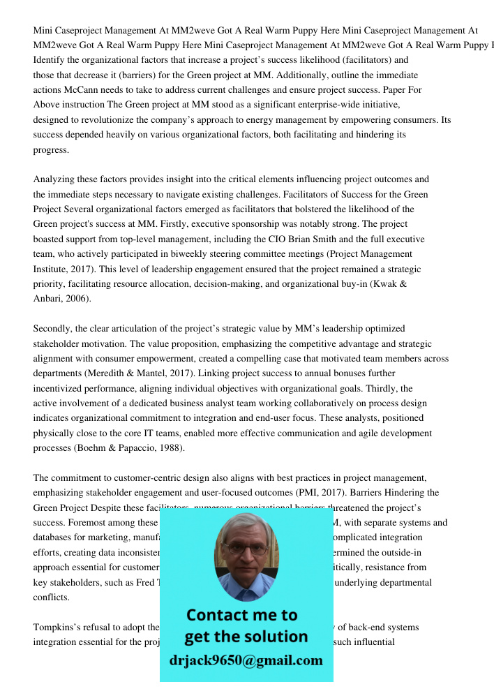 Mini Caseproject Management At MM2weve Got A Real Warm Puppy Here Identify the organizational factors that increase a project’s success likelihood (facilitators