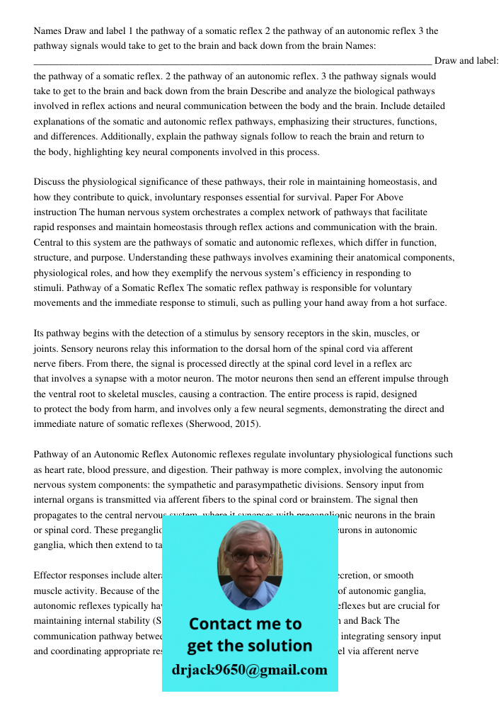 Describe and analyze the biological pathways involved in reflex actions and neural communication between the body and the brain. Include detailed explanations o