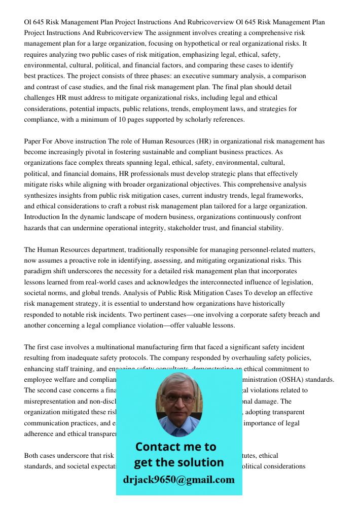 The assignment involves creating a comprehensive risk management plan for a large organization, focusing on hypothetical or real organizational risks. It requir
