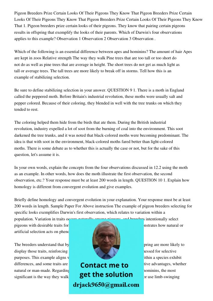 Pigeon Breeders Prize Certain Looks Of Their Pigeons They Know That 1. Pigeon breeders prize certain looks of their pigeons. They know that pairing certain pige