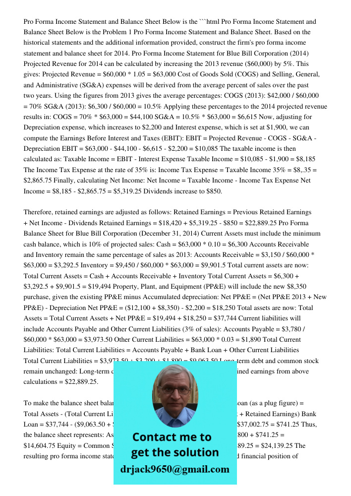 Pro Forma Income Statement And Balance Sheet