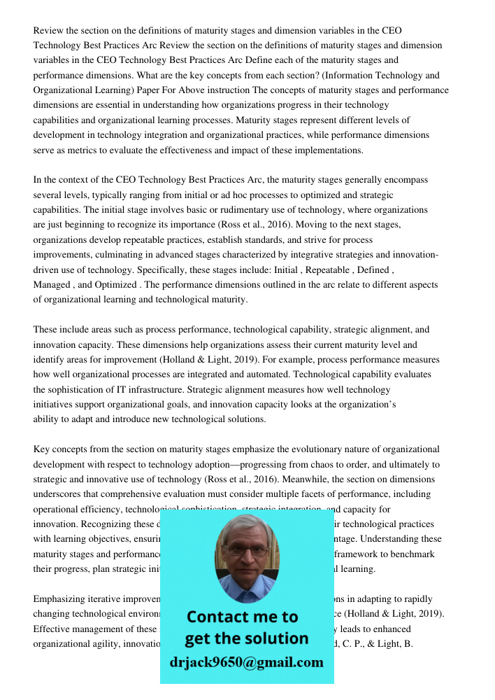 Define each of the maturity stages and performance dimensions. What are the key concepts from each section? (Information Technology and Organizational Learning)