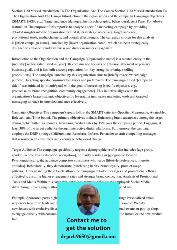 Introduction to the organisation and the campaign Campaign objectives (SMART, DRIP, etc.) Target audience (demographic, psychographic, behavioural, etc.) Paper 