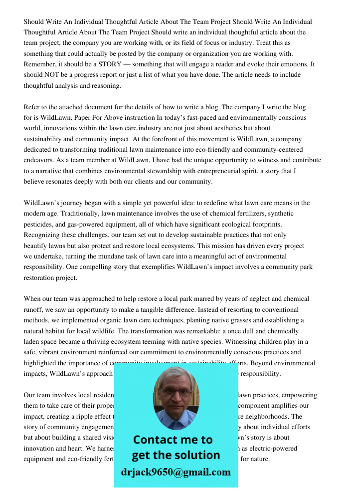 Should write an individual thoughtful article about the team project, the company you are working with, or its field of focus or industry. Treat this as somethi