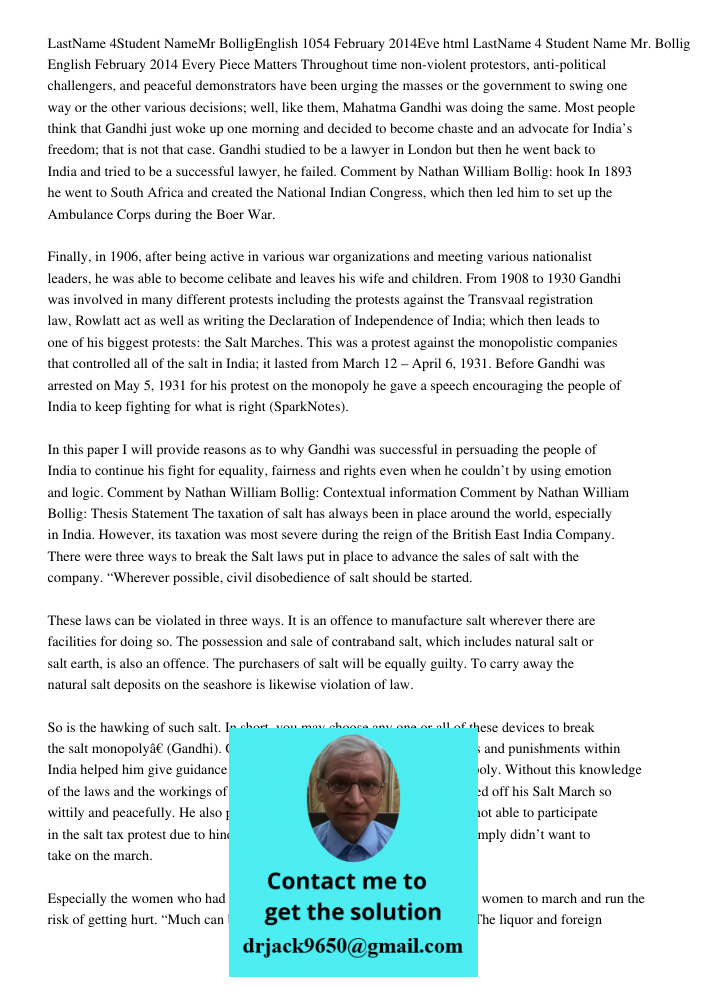 LastName 4 Student Name Mr. Bollig English February 2014 Every Piece Matters Throughout time non-violent protestors, anti-political challengers, and peaceful de