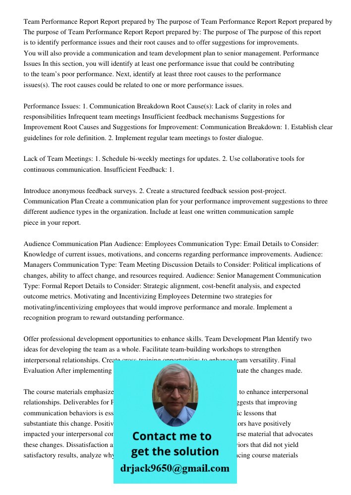 Team Performance Report Report prepared by The purpose of The purpose of this report is to identify performance issues and their root causes and to offer sugges