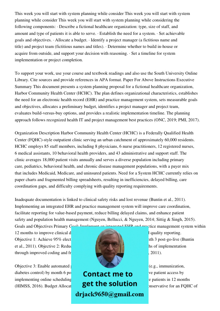 This week you will start with system planning while considering the following components: · Describe a fictional healthcare organization: type, size of staff, a
