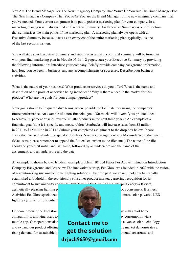 You are the Brand Manager for the new imaginary company that you've created. Your current assignment is to put together a marketing plan for your company. In a 